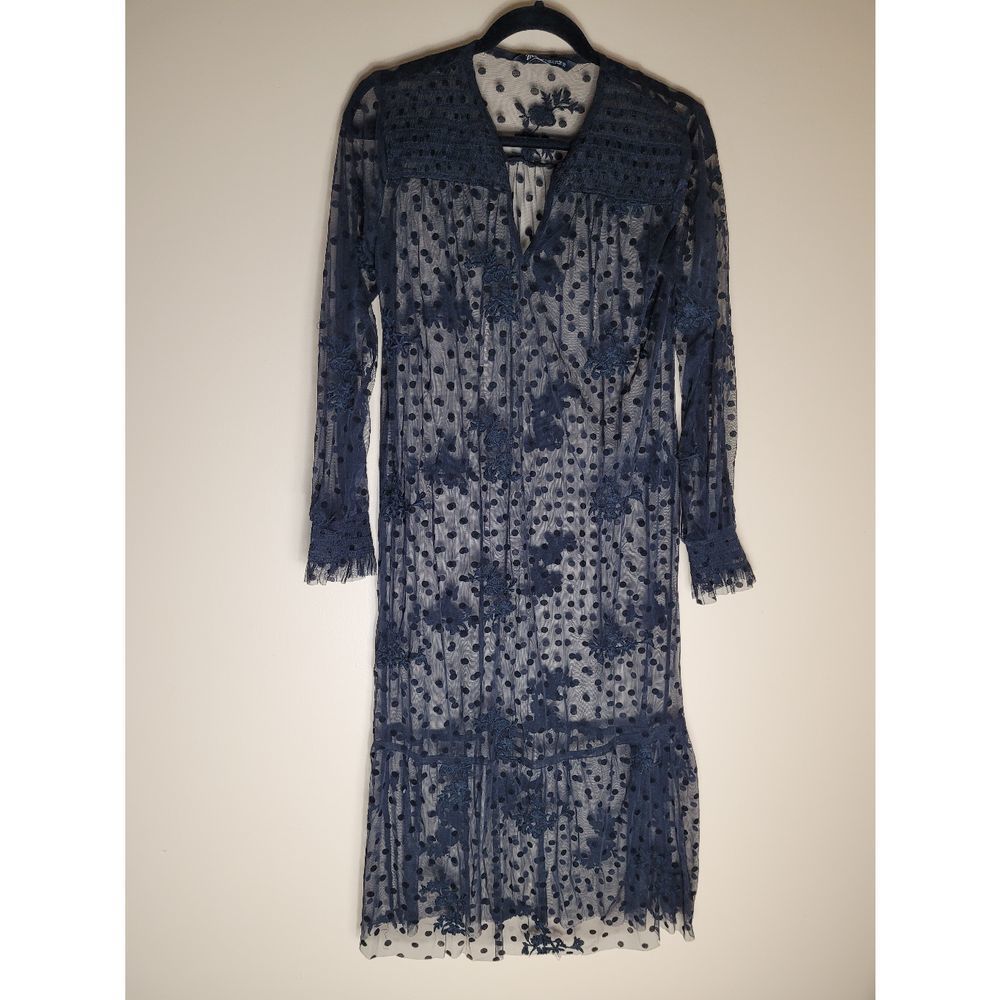 Zara Sheer Dress